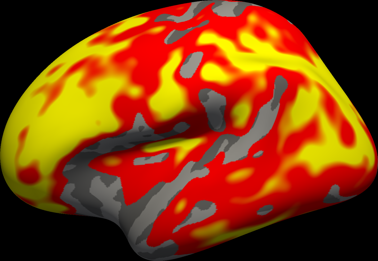 The left hemisphere of the brain seen from the side, inflated so that the folds lie flat, coloured red to yellow over most of its surface.